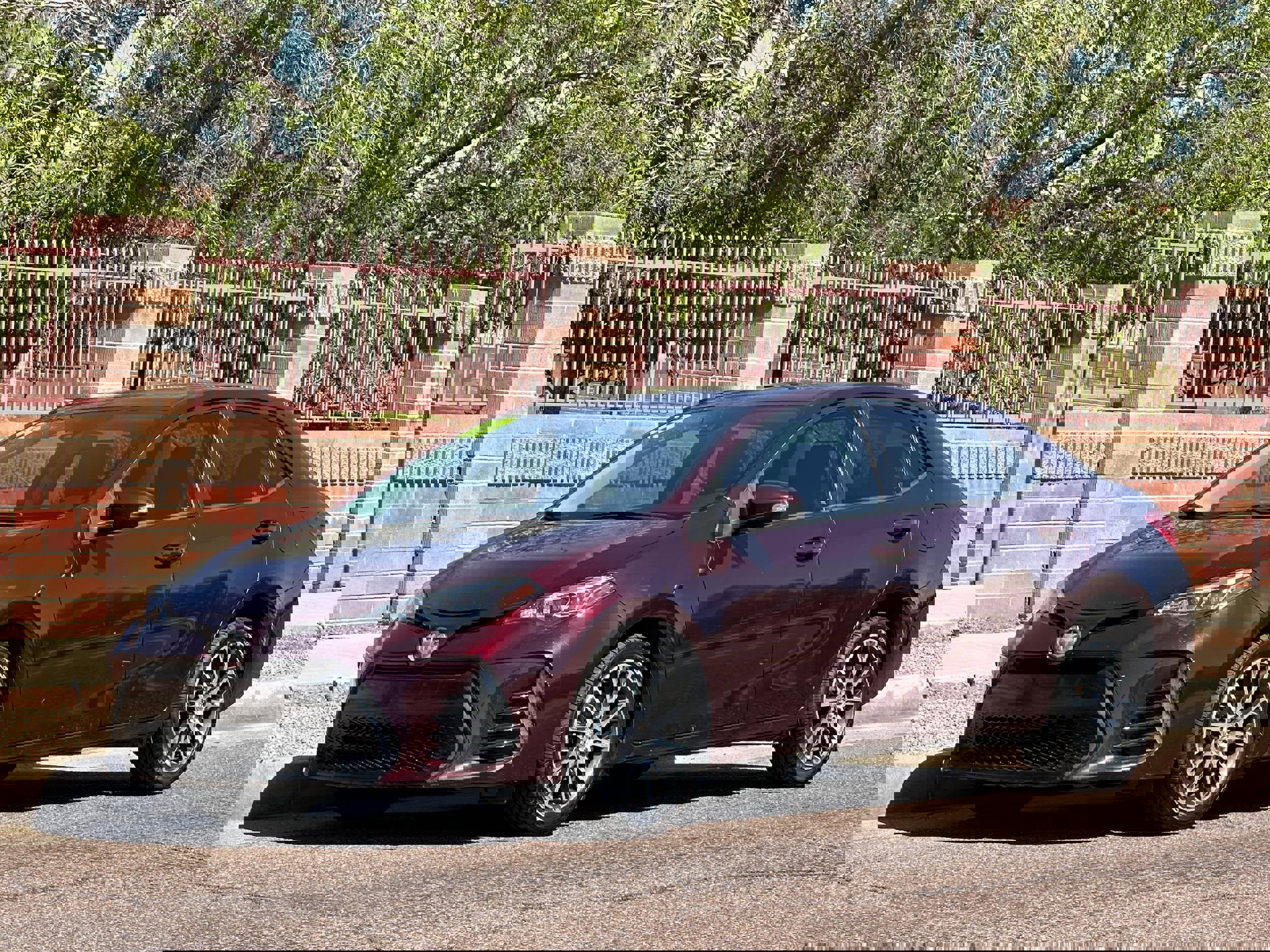 Used 2017 Toyota Corolla SE 50th Anniversary image 1