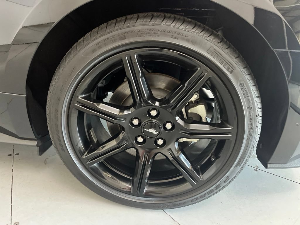 Used 2019 Ford Mustang GT w/ Equipment Group 301A RWD image 15