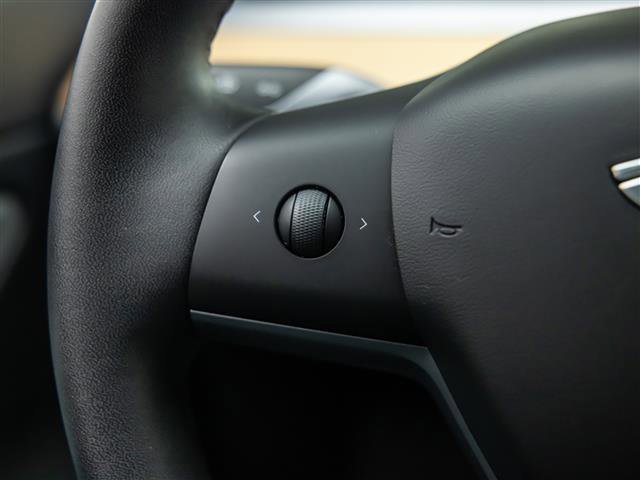 Used 2020 Tesla Model 3 Performance AWD/4WD image 19
