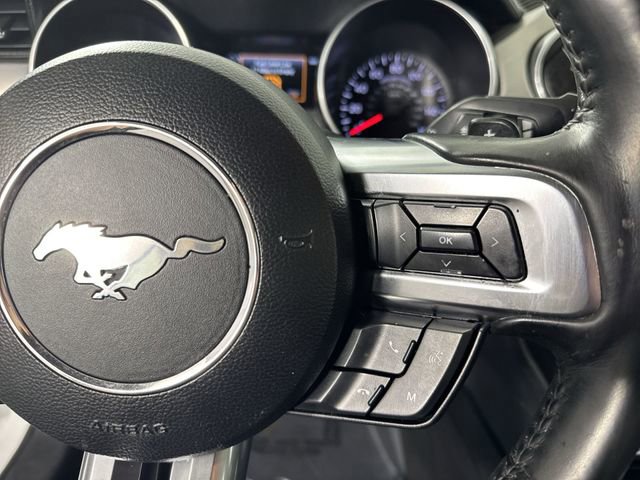Used 2019 Ford Mustang Premium RWD image 12