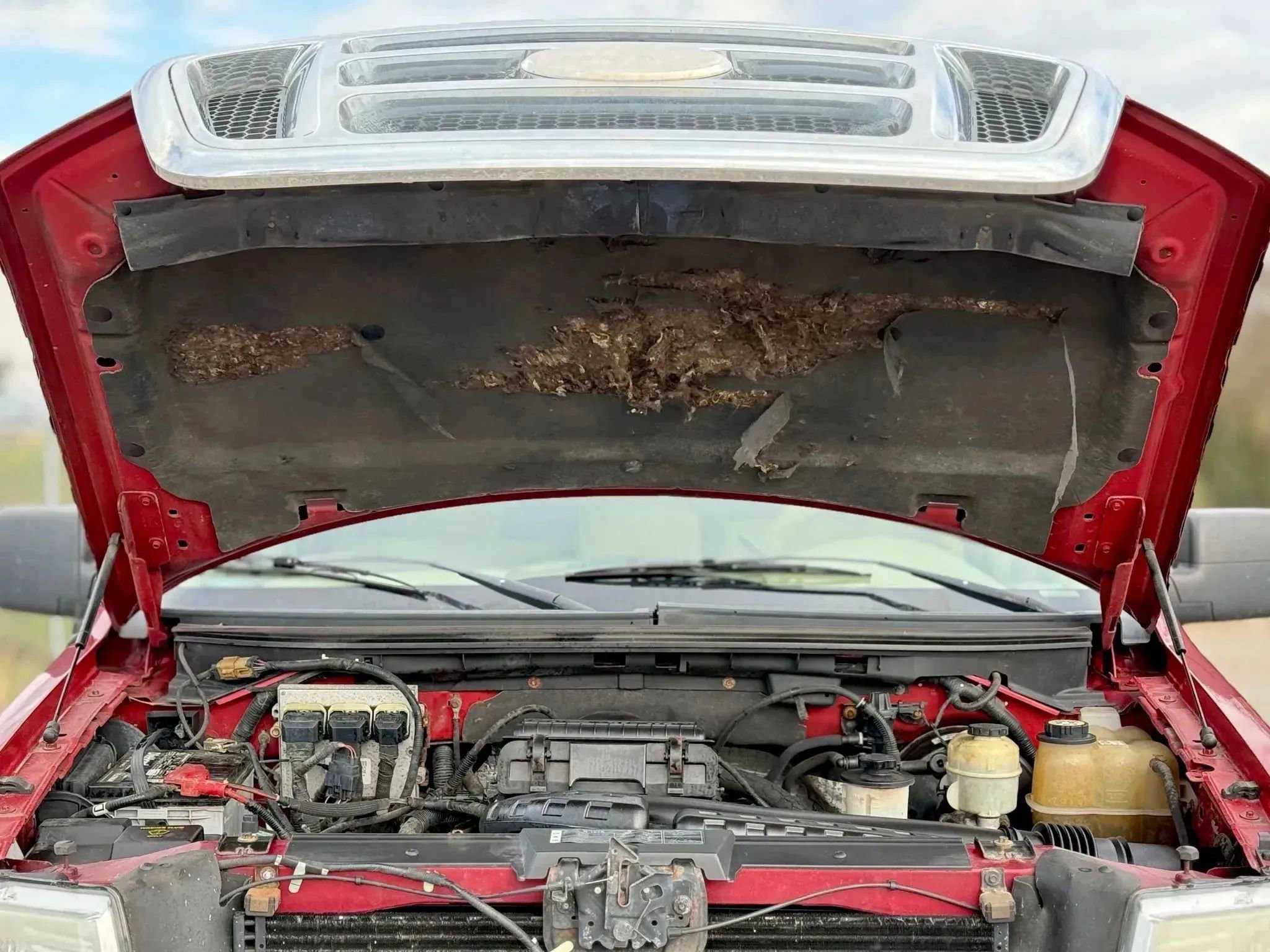 Used 2008 Ford F150 FX4 image 27