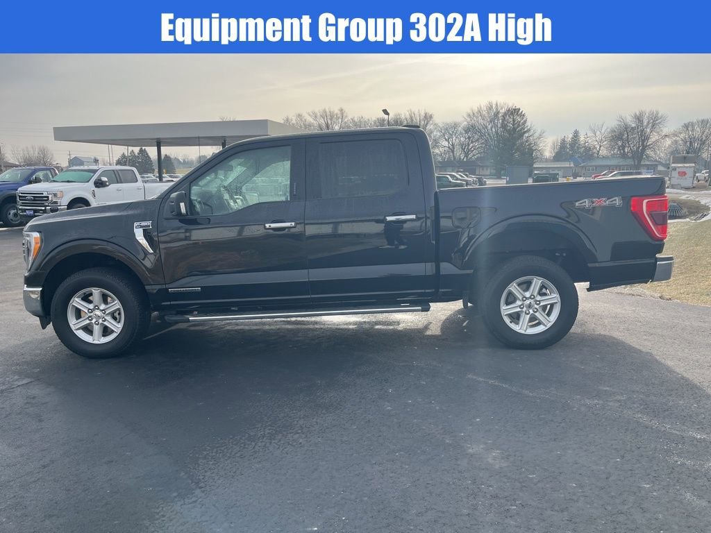 Used 2023 Ford F150 XLT w/ Equipment Group 302A High image 7