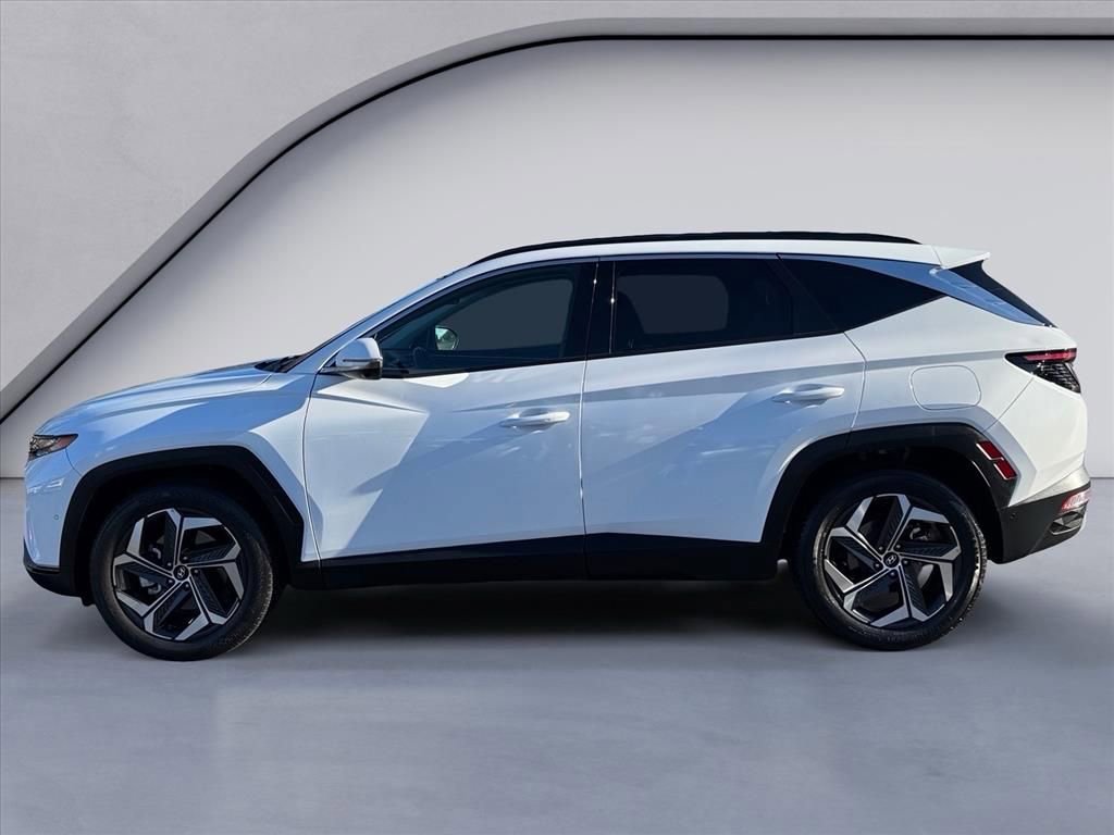 Used 2024 Hyundai Tucson Limited image 2