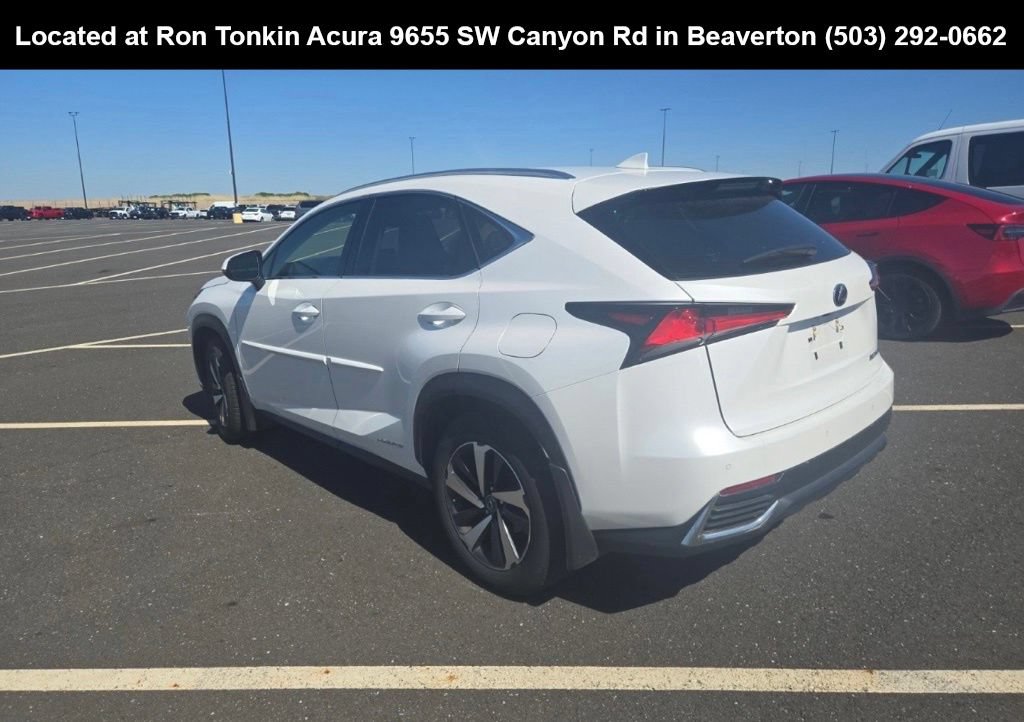 Used 2020 Lexus NX 300h AWD w/ Premium Package image 4