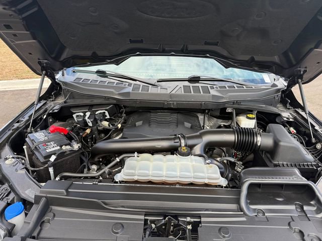 Used 2023 Ford F150 XLT image 12