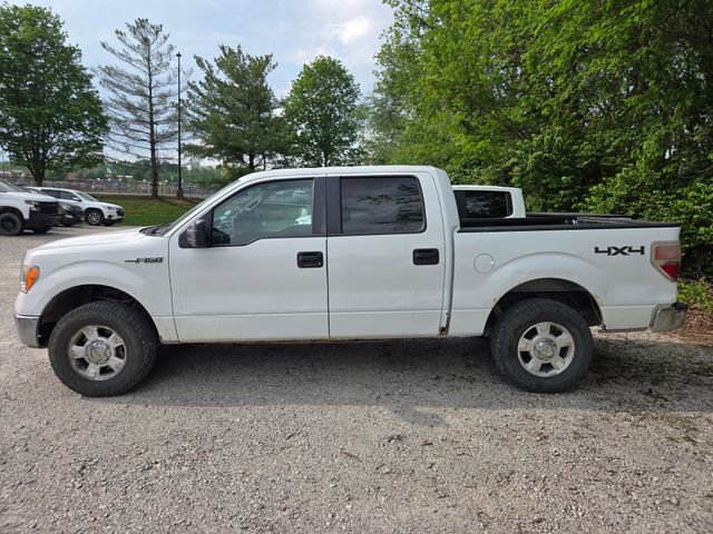 Used 2013 Ford F150 XLT AWD/4WD image 9