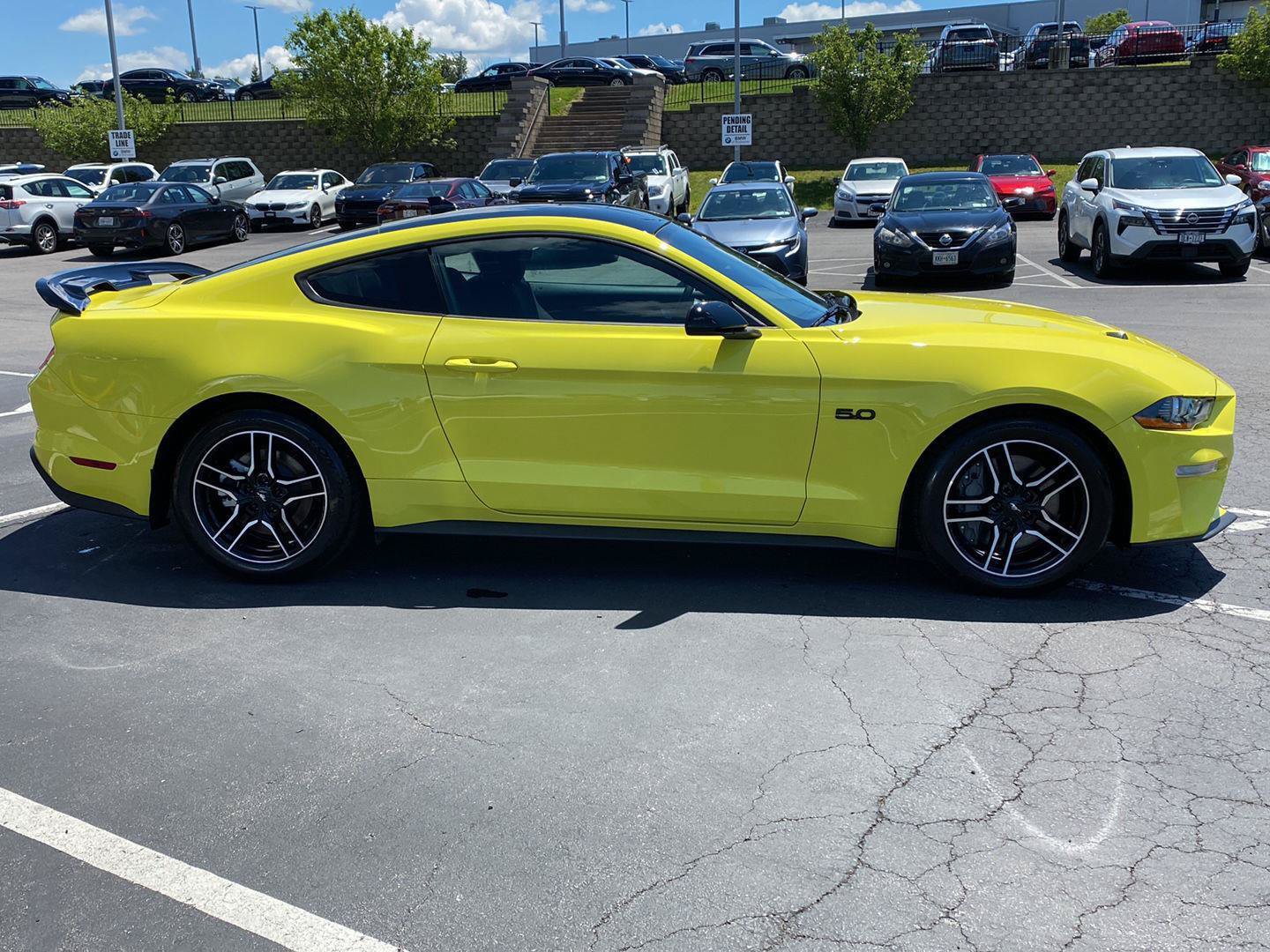 Used 2021 Ford Mustang GT w/ Equipment Group 301A RWD image 3