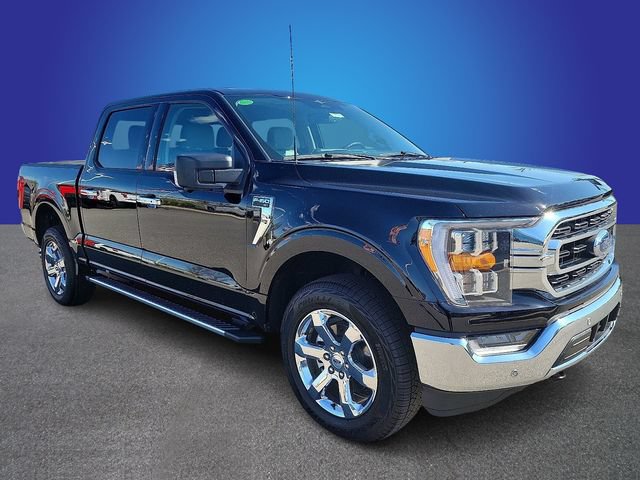 New 2023 Ford F150 XLT w/ Equipment Group 302A High AWD/4WD image 2