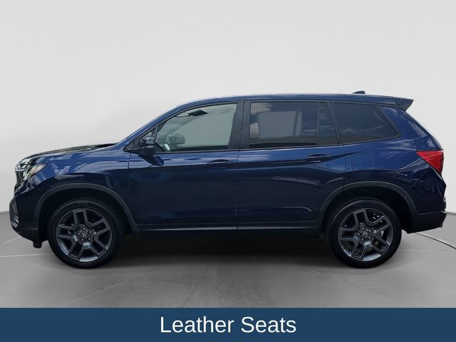 Used 2023 Honda Passport EX-L image 5