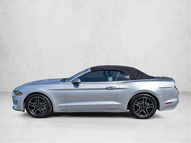 Used 2019 Ford Mustang Premium RWD image 9