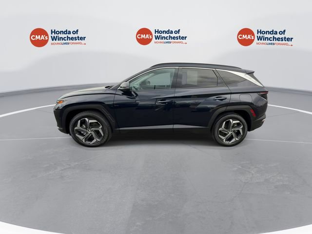 Used 2023 Hyundai Tucson Limited image 6