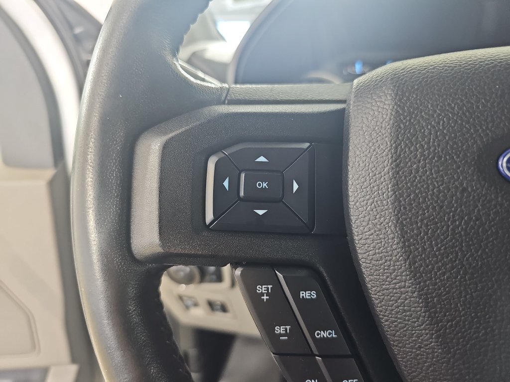 Used 2019 Ford F150 XLT w/ Equipment Group 302A Luxury AWD/4WD image 21