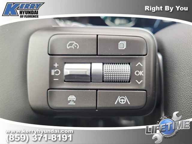 New 2026 Hyundai Palisade Calligraphy image 23