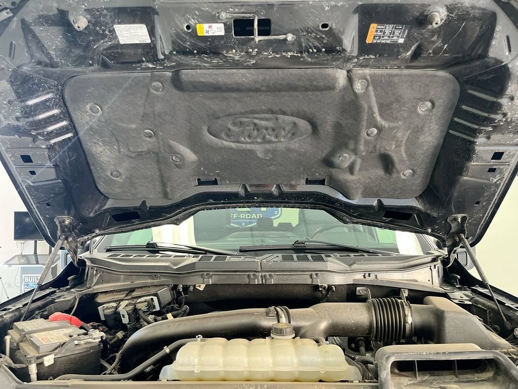 Used 2025 Ford F150 XLT w/ Equipment Group 301A Standard AWD/4WD image 13