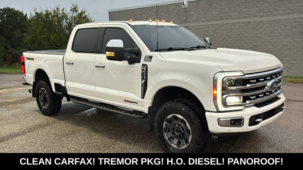Used 2024 Ford F250 Platinum w/ Tremor Off-Road Package AWD/4WD image 25