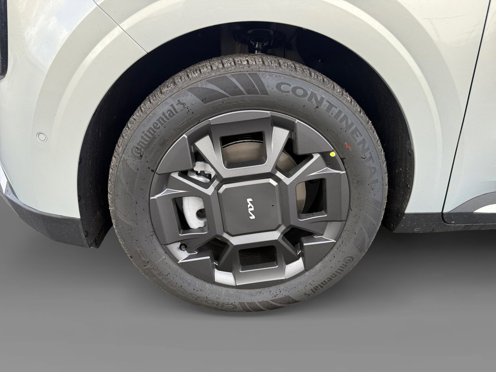 New 2026 Kia Carnival SX image 9