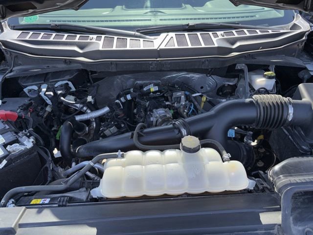 Used 2023 Ford F150 XL w/ STX Appearance Package AWD/4WD image 29