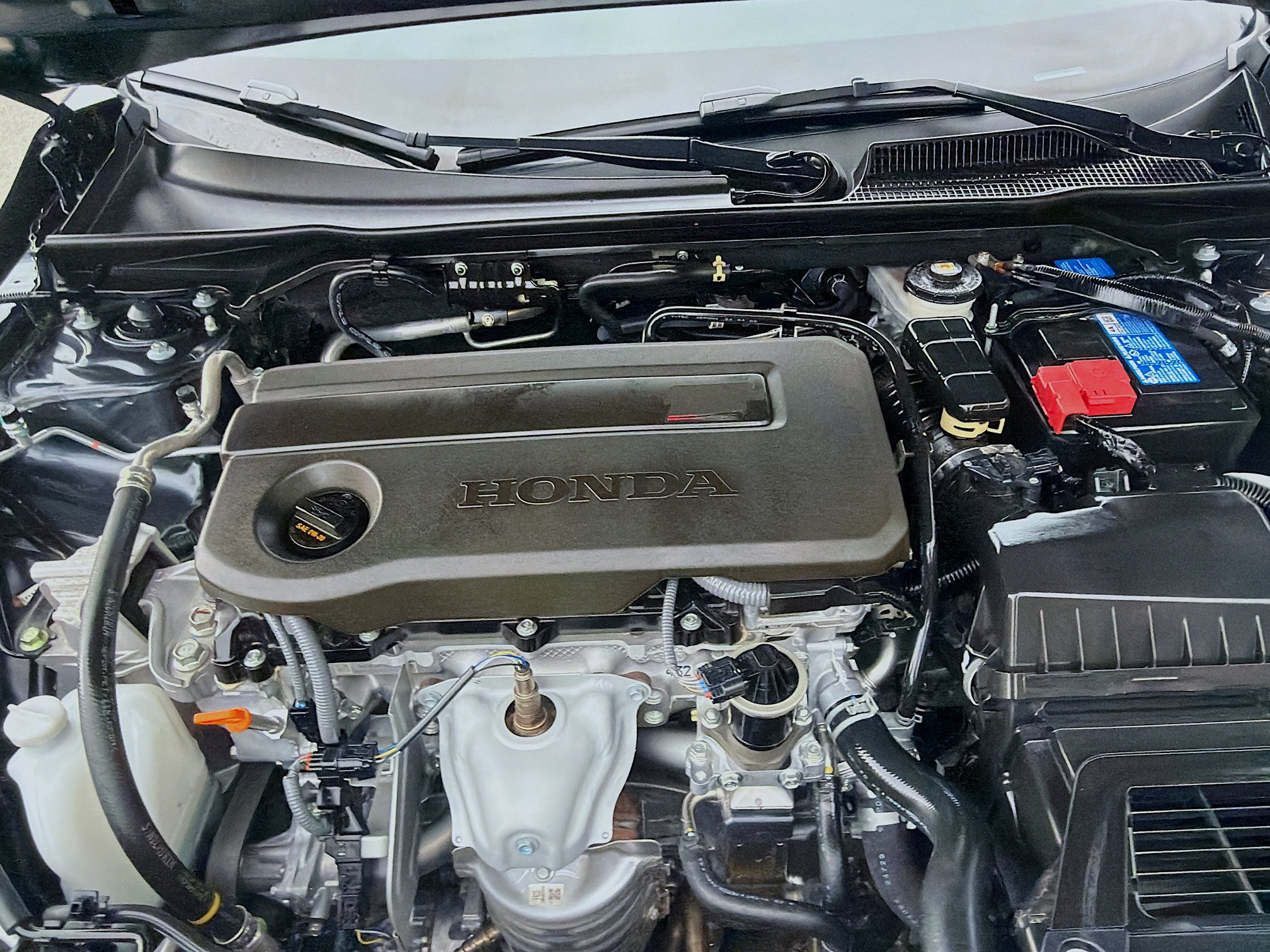 Certified 2025 Honda Civic Sport image 34