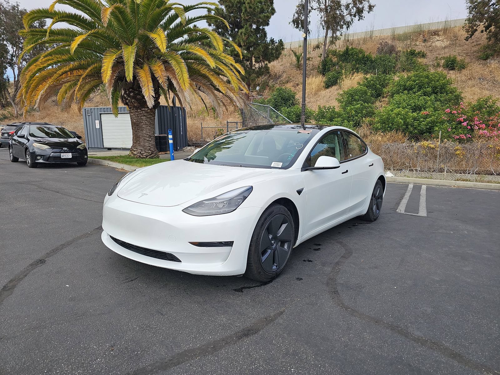 Used 2023 Tesla Model 3 Standard Range RWD image 3