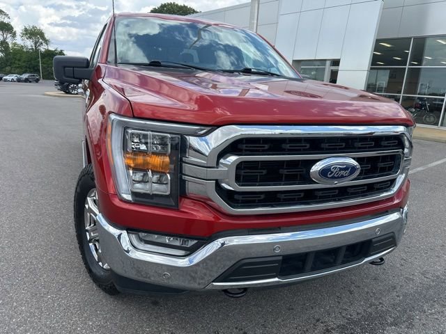 Used 2023 Ford F150 XLT w/ Equipment Group 302A High AWD/4WD image 5