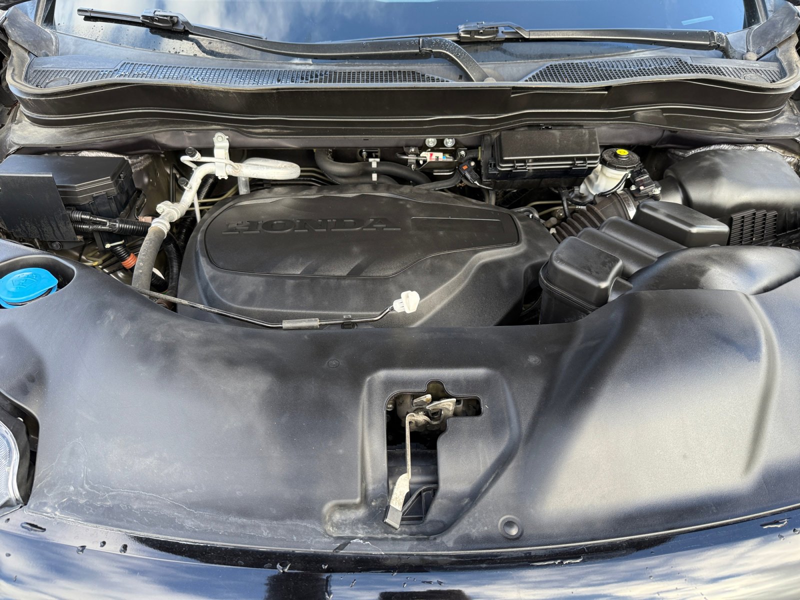 Used 2021 Honda Pilot Special Edition image 20