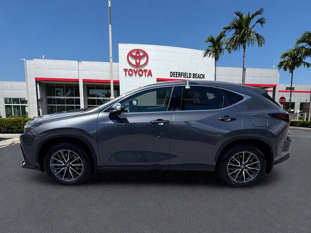 Used 2025 Lexus NX 350h AWD w/ Cold Area Package image 4