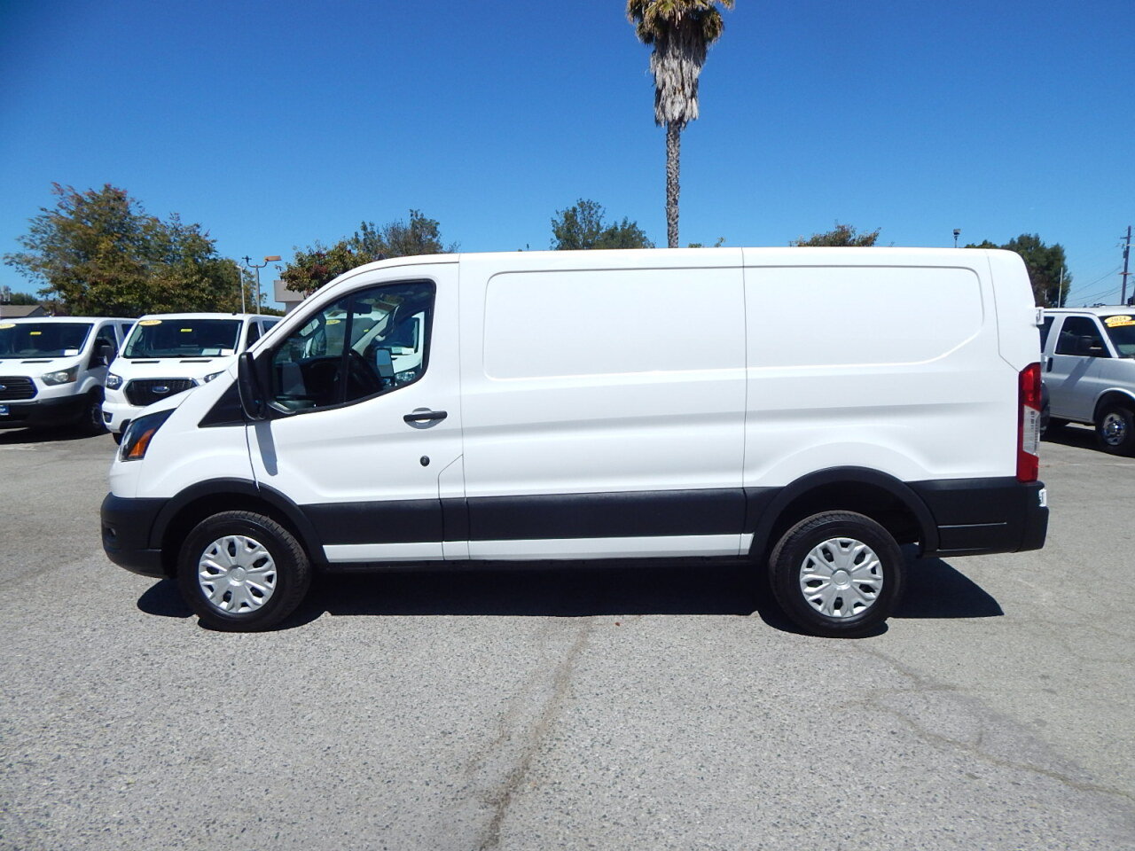 Used 2025 Ford Transit 250 Low Roof w/ Exterior Upgrade Package RWD image 5