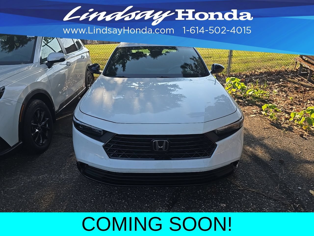 Used 2023 Honda Accord Sport image 2