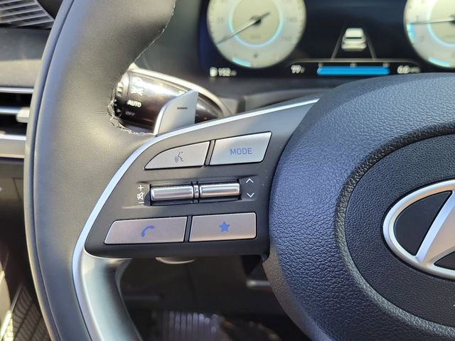 New 2025 Hyundai Palisade Calligraphy image 5