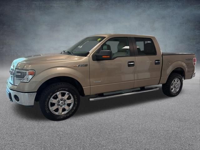 Used 2014 Ford F150 XLT w/ Equipment Group 302A Luxury AWD/4WD image 11