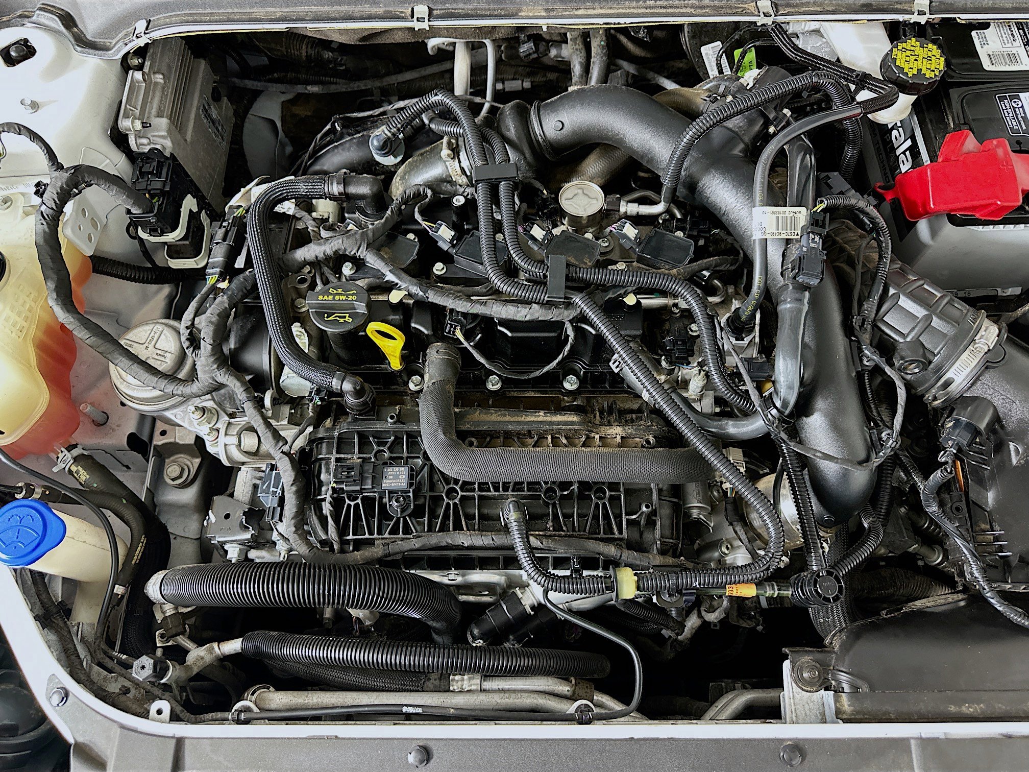 Used 2019 Ford Fusion SE image 32