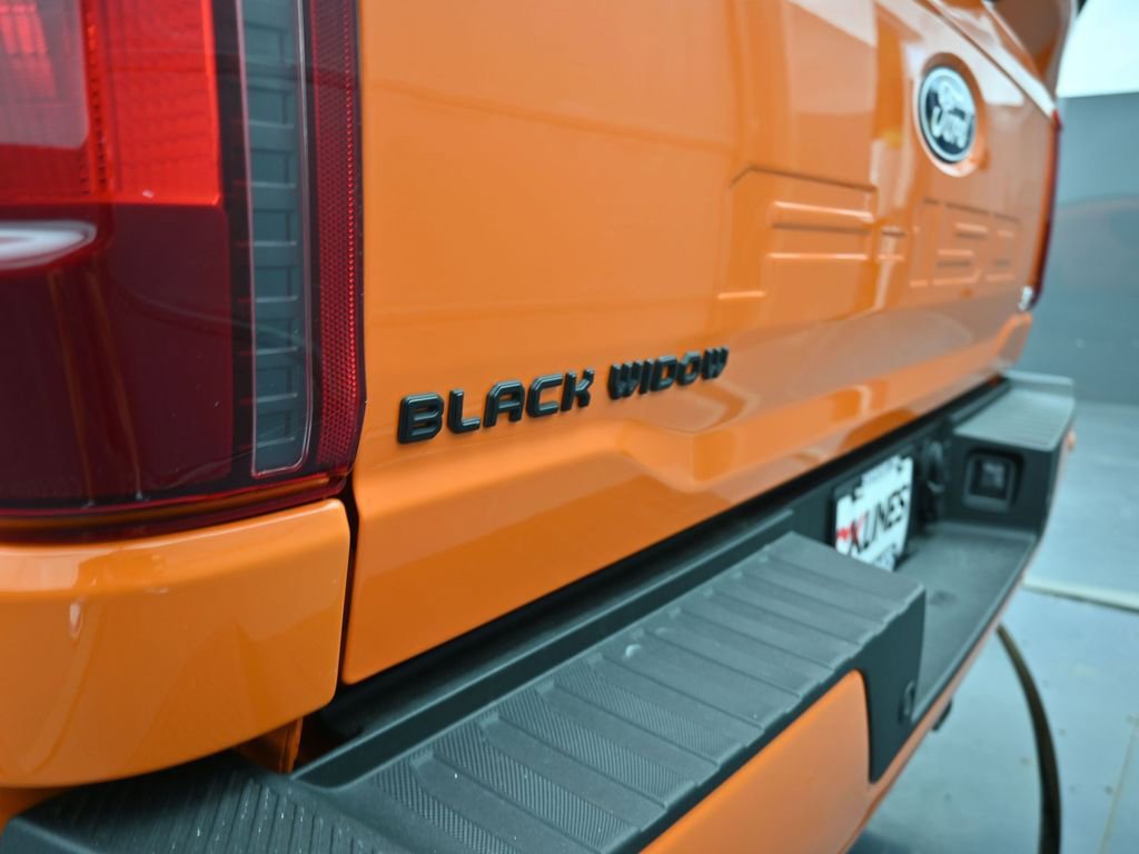 New 2025 Ford F150 XL w/ Equipment Group 103A High image 12