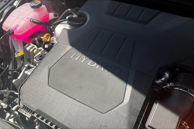 New 2025 Hyundai Elantra Limited image 17