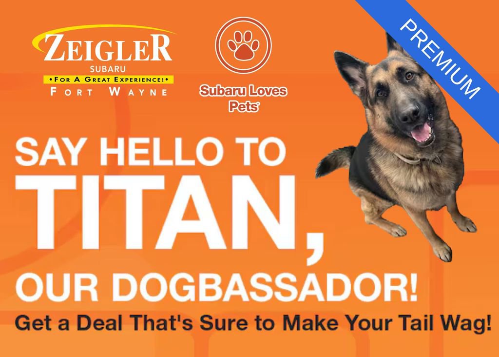 Used 2022 Subaru Outback Premium image 42