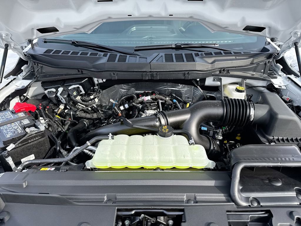 New 2026 Ford F150 STX w/ Equipment Group 200A image 24