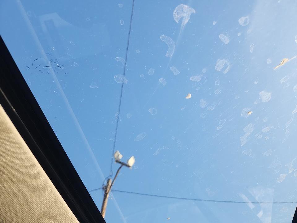 Used 2016 Buick Enclave Leather w/ Enclave Tuscan Edition image 15