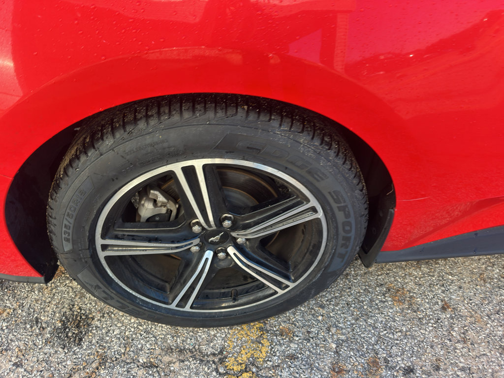 Used 2024 Ford Mustang EcoBoost image 16