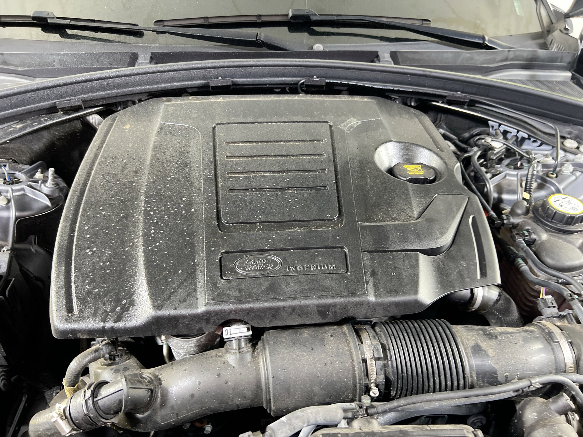 Used 2024 Land Rover Range Rover Velar Dynamic SE image 31