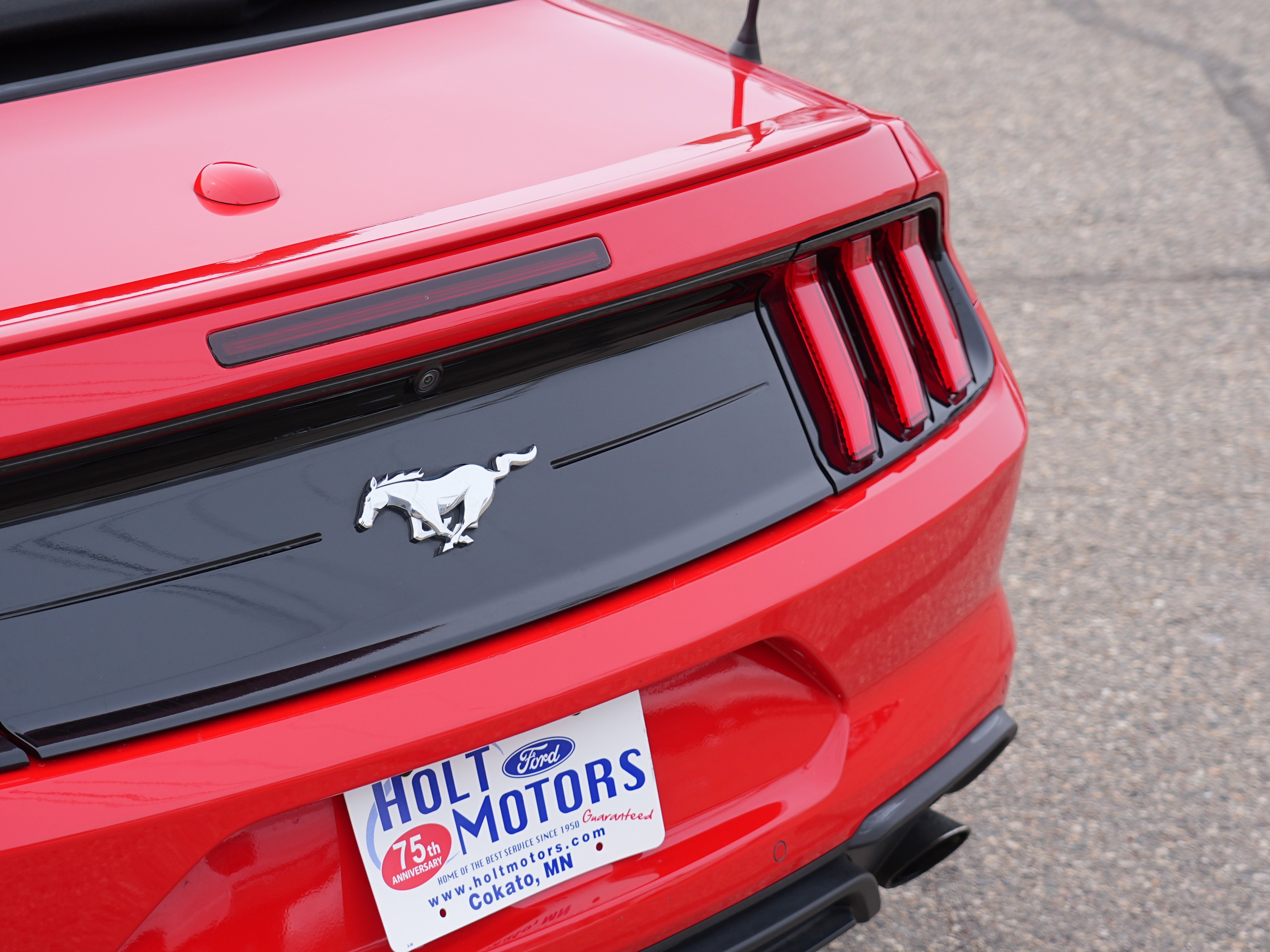 Used 2022 Ford Mustang Premium image 14