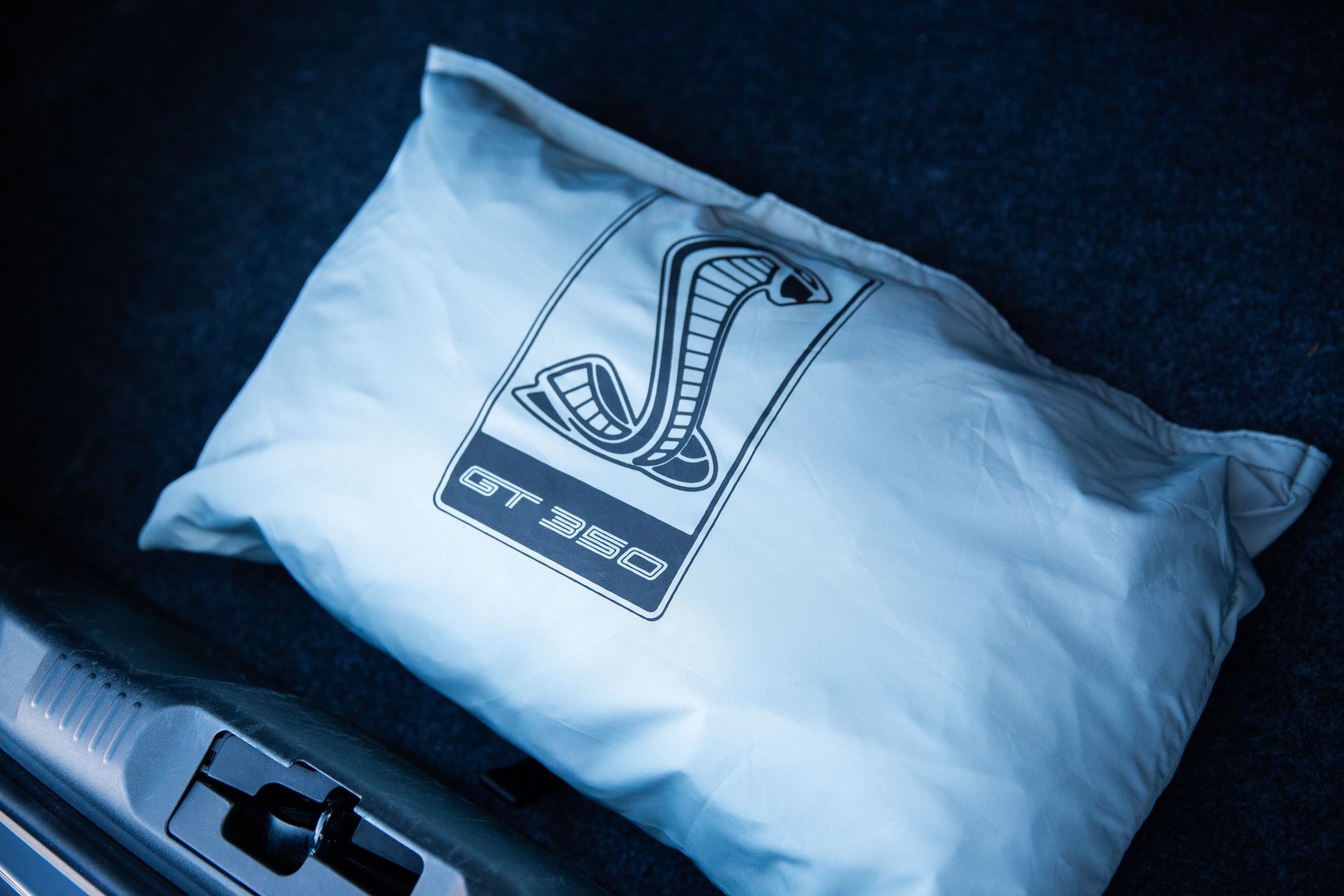 Used 2019 Ford Mustang Shelby GT350 w/ Technology Package image 60