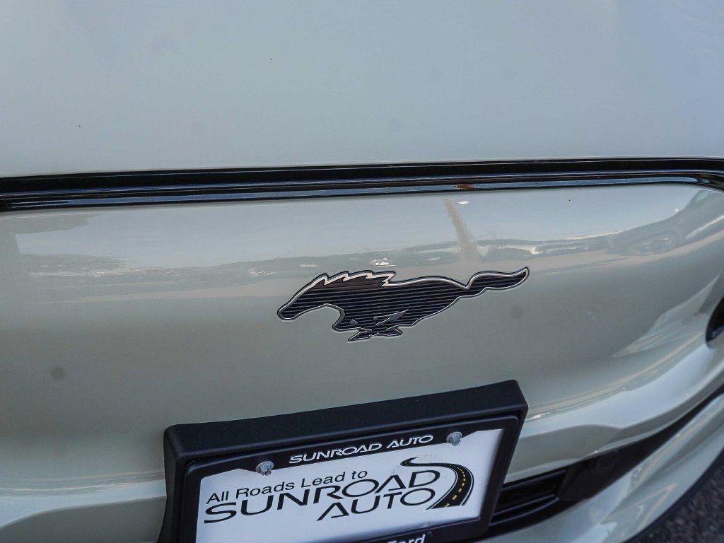 New 2026 Ford Mustang Mach-E Premium RWD image 11