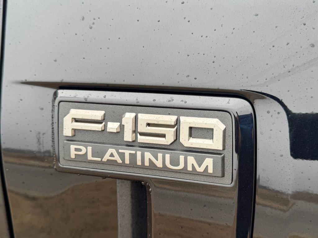 New 2025 Ford F150 Platinum w/ Equipment Group 702A High AWD/4WD image 15