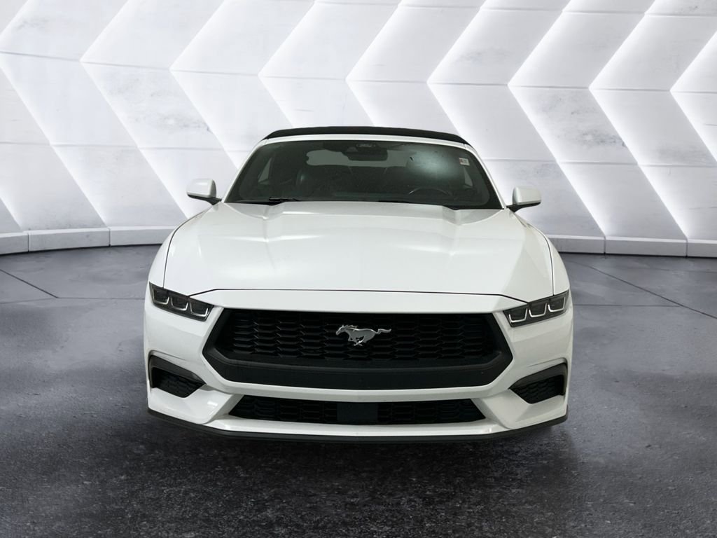 Used 2024 Ford Mustang Premium RWD image 2