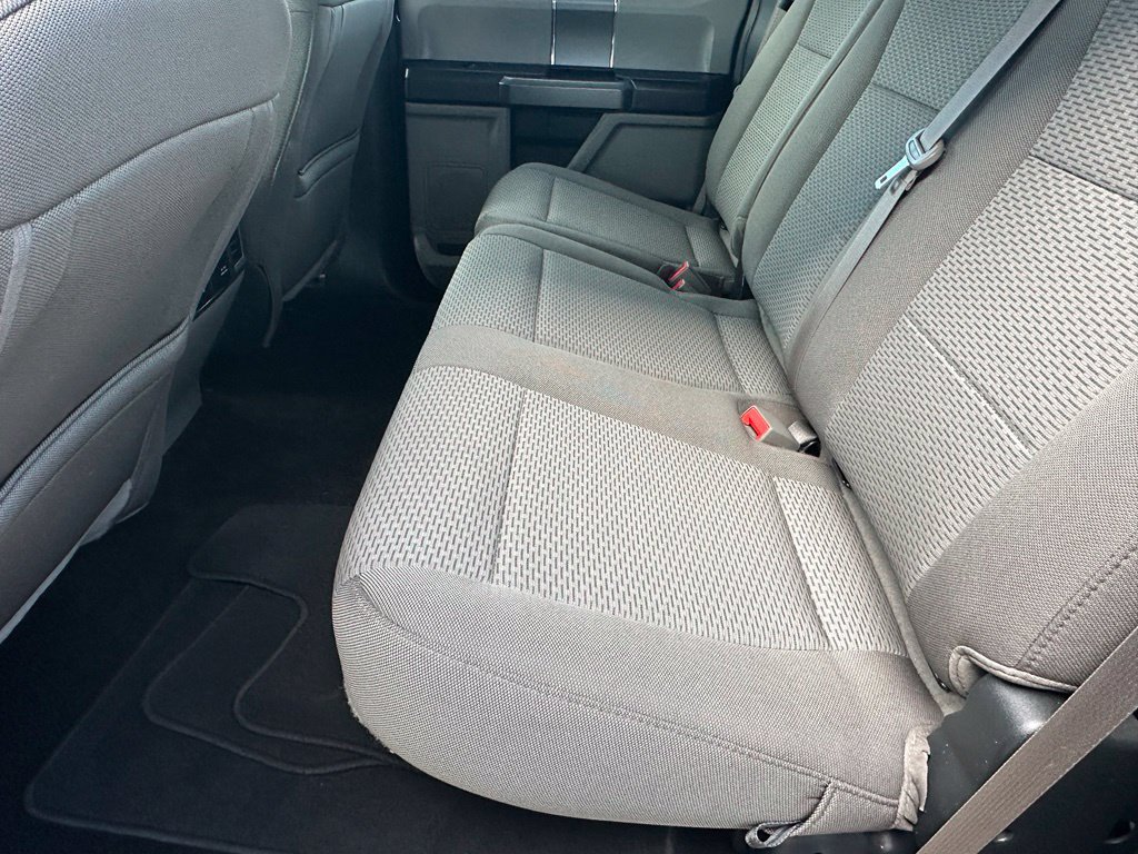 Used 2019 Ford F150 XLT w/ Equipment Group 302A Luxury AWD/4WD image 7