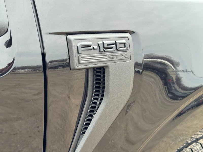 New 2026 Ford F150 STX w/ Equipment Group 200A image 12