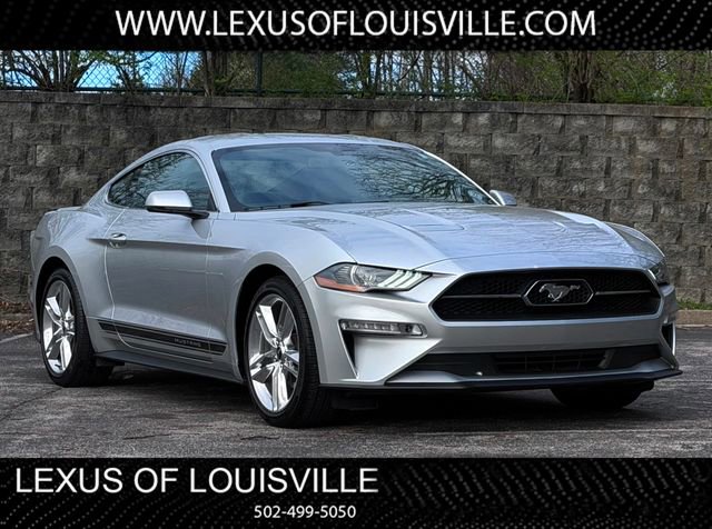 Used 2019 Ford Mustang Premium w/ Equipment Group 201A RWD image 1