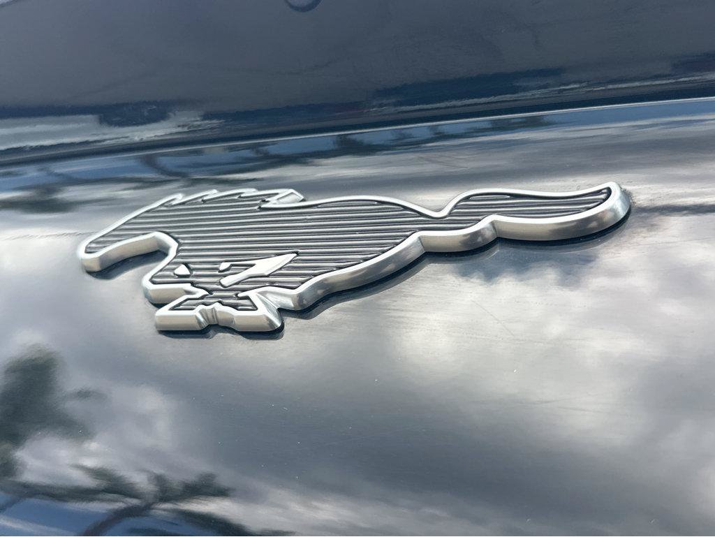 Used 2021 Ford Mustang Mach-E Premium RWD image 37