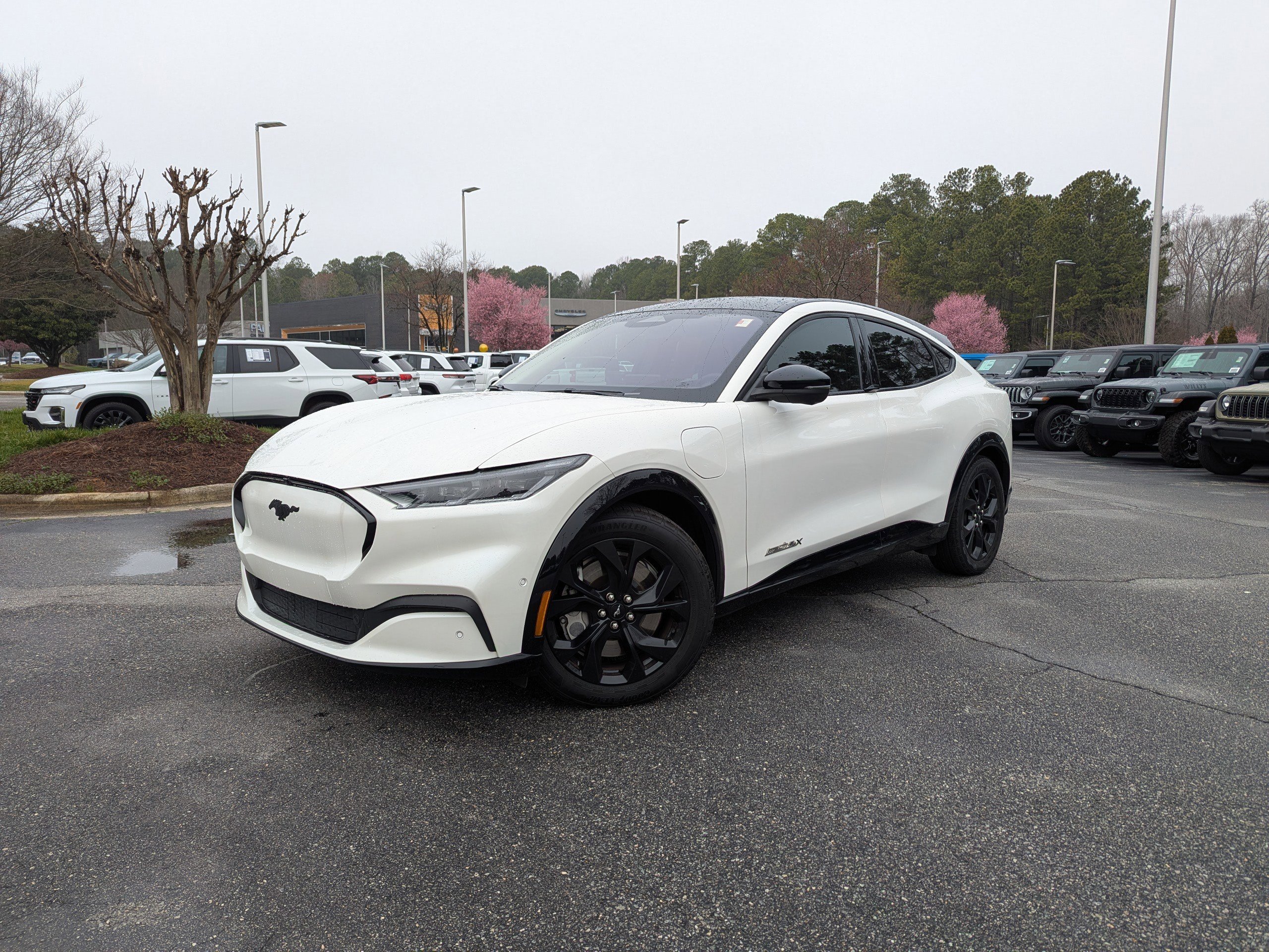 Used 2023 Ford Mustang Mach-E Premium w/ Mustang Nite Pony Package