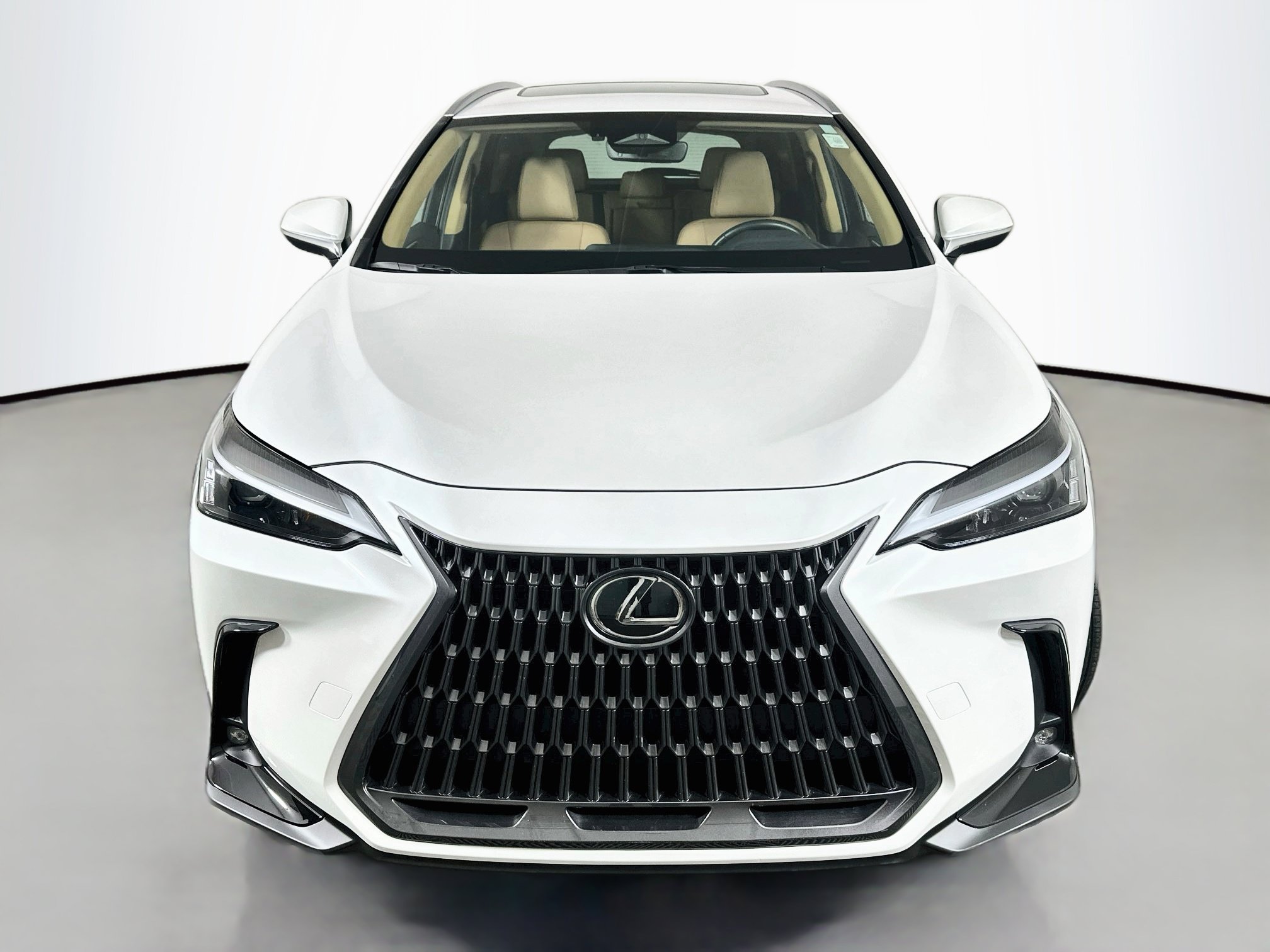 Certified 2024 Lexus NX 350h AWD w/ Cold Area Package image 2
