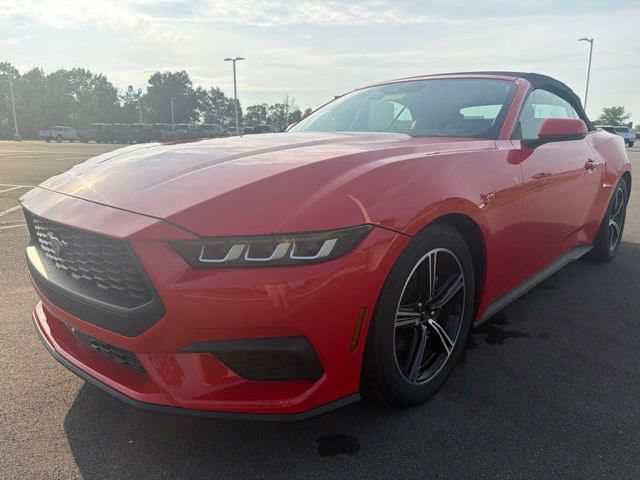Used 2024 Ford Mustang Premium RWD image 3